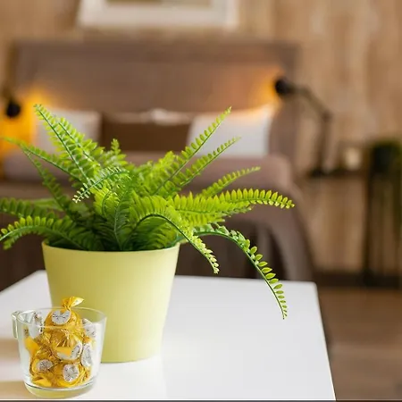 Apartment Lux Belgrade