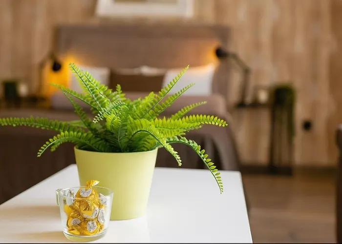 Appartement Lux Belgrado